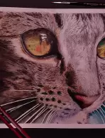 JESSICA DE LIMA MACHADO (1,07% votos)