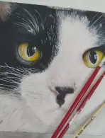 Flávia Luciane Vicente Maciel (1,18% votos)