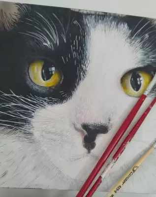 Arte de Flávia Luciane Vicente Maciel