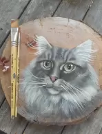 Cristiane F. A. Bicudo (0,17% votos)