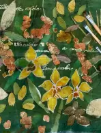 Mônica Krüger Rodor