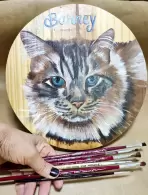 REJANE PAZ WERLANG (0,11% votos)