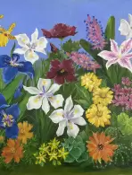 Telma Maria de Oliveira Negri