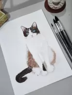 Caroline Francischetti (0,06% voto)