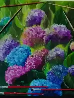 LUCIMARA MARIA DE OLIVEIRA TEIXEIRA