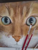 Flávia Luciane Vicente Maciel (0,95% votos)