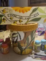 Vera Lúcia Martins Sant Ana