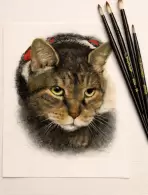 REGINA HELENA LOUREIRO AGUIAR (5,05% votos)