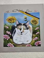 Conceição Aparecida Brambilla (0,73% votos)