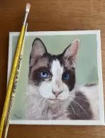 Margareth Leyendecker (1,35% votos)