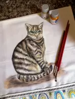 Sandra Regina Hortolani Rodrigues (0,06% voto)