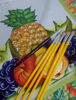 Rosilene de Souza Araújo holz