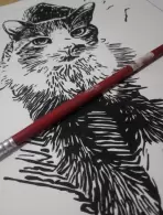 Jaini Alves Ferreira (0,79% votos)