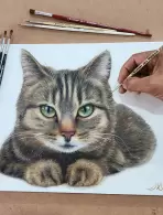 André Maurício da Silva (5,66% votos)