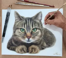 Vencedores da Galeria de Inspiração de Fevereiro de 2026: Gatos