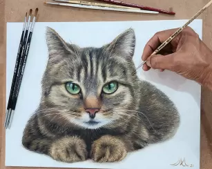 Vencedores da Galeria de Inspiração de Fevereiro de 2026: Gatos