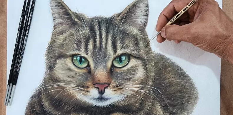 Vencedores da Galeria de Inspiração de Fevereiro de 2026: Gatos