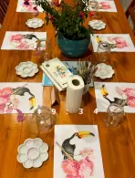 Djenane Paula Souza leocadio