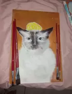 Débora de Melo Vasconcelos (0,06% voto)