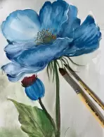 Wilma aparecida Schroeder Peres