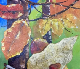 Galeria de Inspiração - Março de 2025