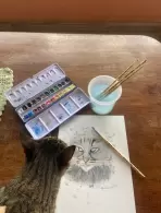 Liliana Aparecida Altero (0,06% voto)