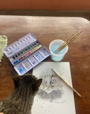 Arte de Liliana Aparecida Altero