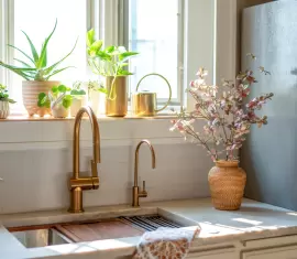 Formigas em casa? Saiba como afastar esses pequenos invasores de vez!