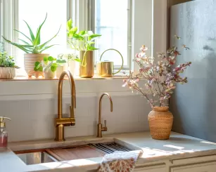 Formigas em casa? Saiba como afastar esses pequenos invasores de vez!