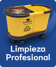 Limpeza Profissional